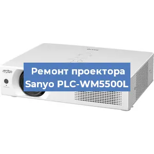 Замена поляризатора на проекторе Sanyo PLC-WM5500L в Белгороде